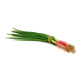 Erba Cipollina MZ/4Pz | Frutta e verdura finta - 257217