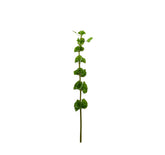 Fiore Molucella artificiale H78 - 215179
