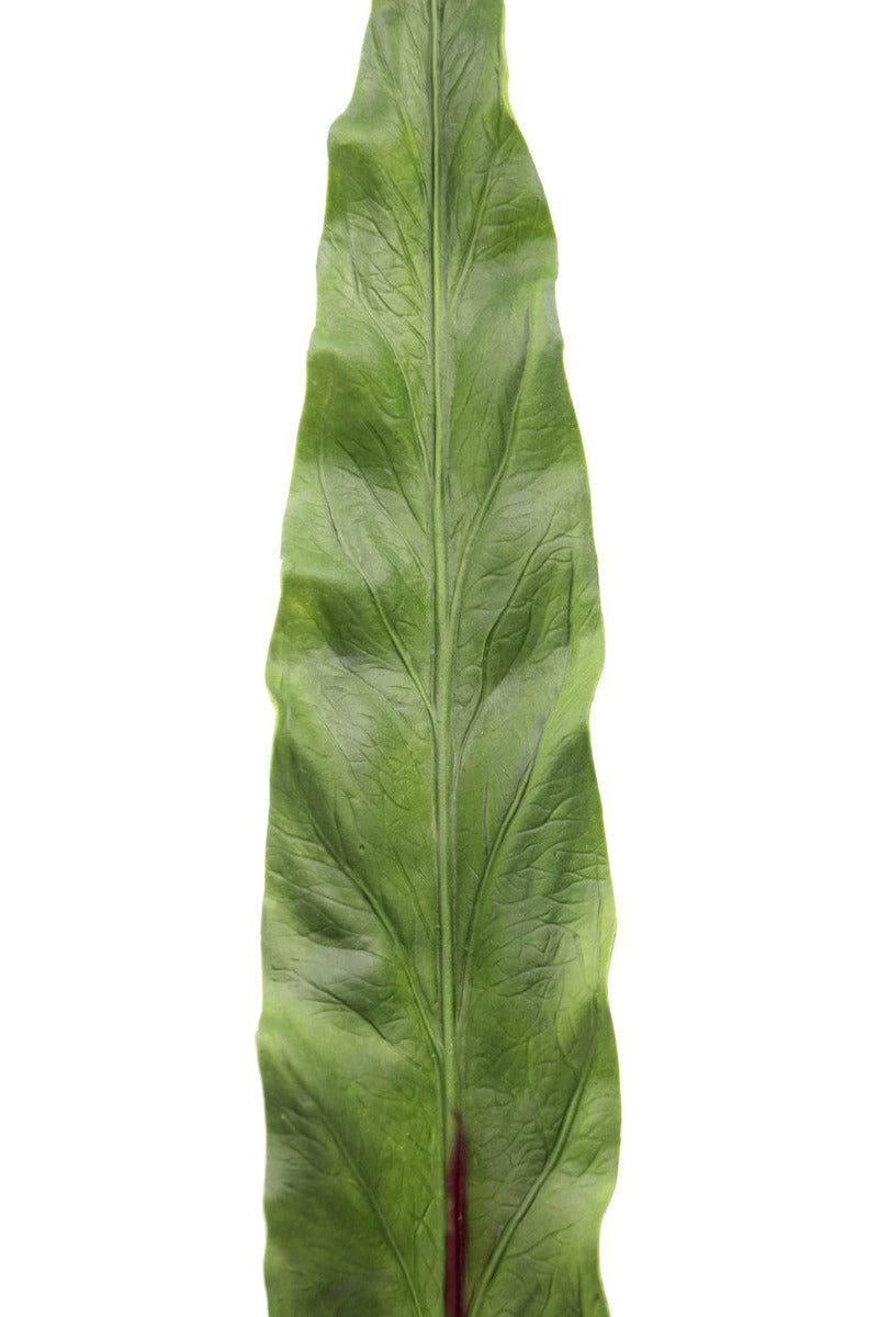 Foglia Asplenium finta: piante artificiali di qualità - 93057