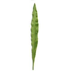 Foglia Asplenium finta: piante artificiali di qualità - 93057