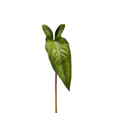 Foglia Artificiale di Alocasia H58 L36 | Foglie Artificiali di Qualità - 232997