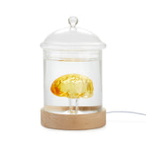 Lampada da tavolo Brain in Vetro - 27338