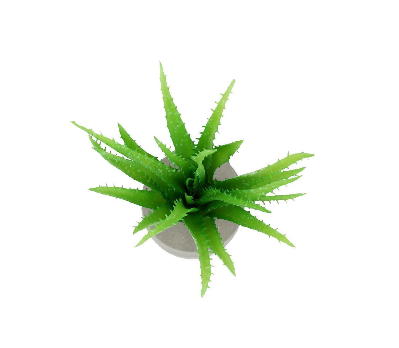 Cespuglio di Aloe: piante artificiali di qualità - 231658,71