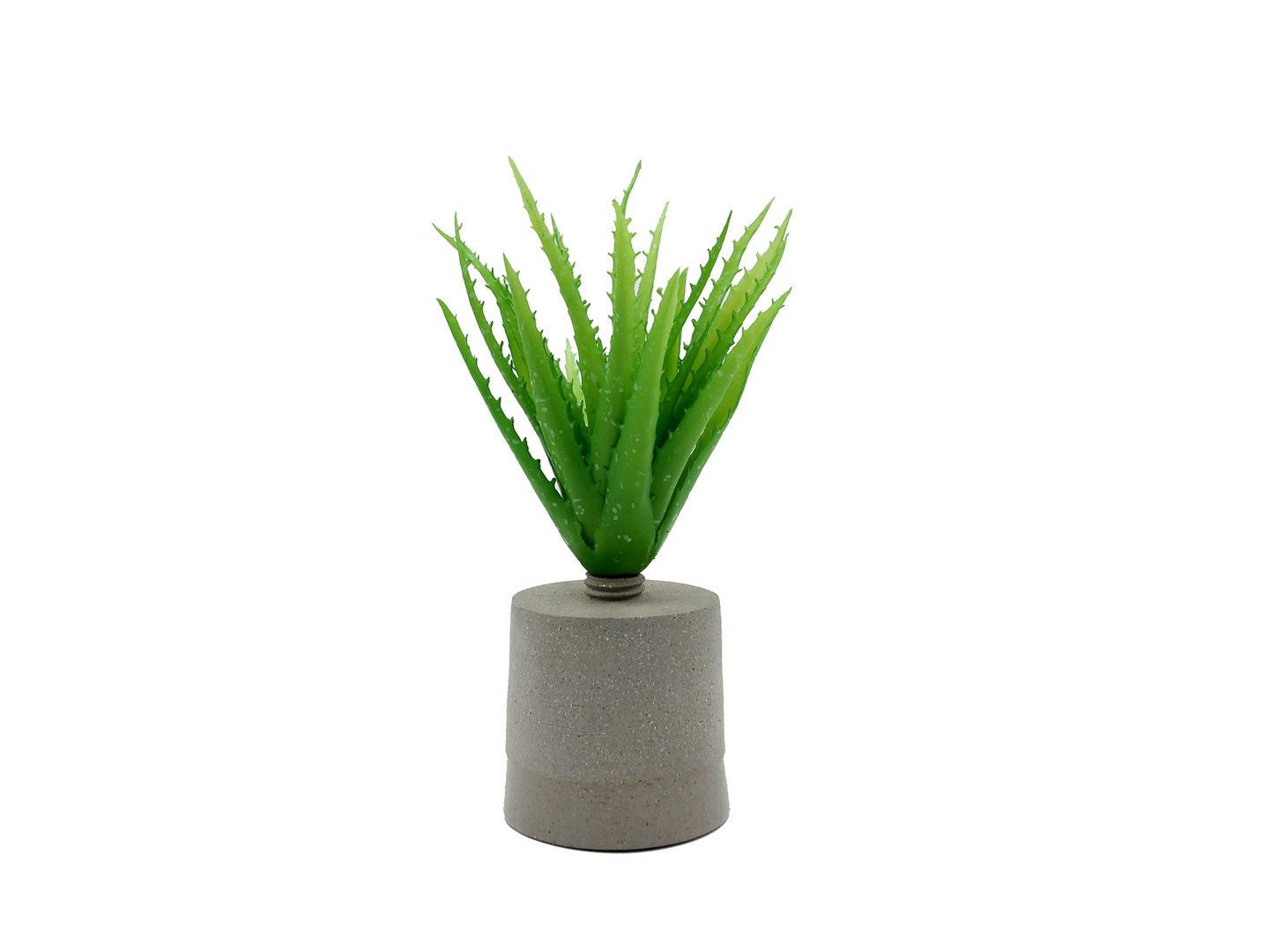 Cespuglio di Aloe: piante artificiali di qualità - 231658,71