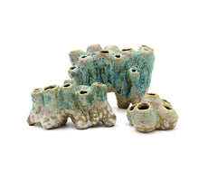 Vaso Corallo Multiforo - CONFIG0107