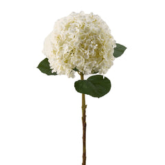 Ortensia artificiale Giant bianca H75 - 214809-12