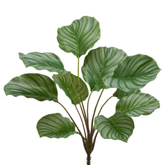 Pianta di Calathea Artificiale x 10 Rami H50 | Piante Artificciali di Qualità