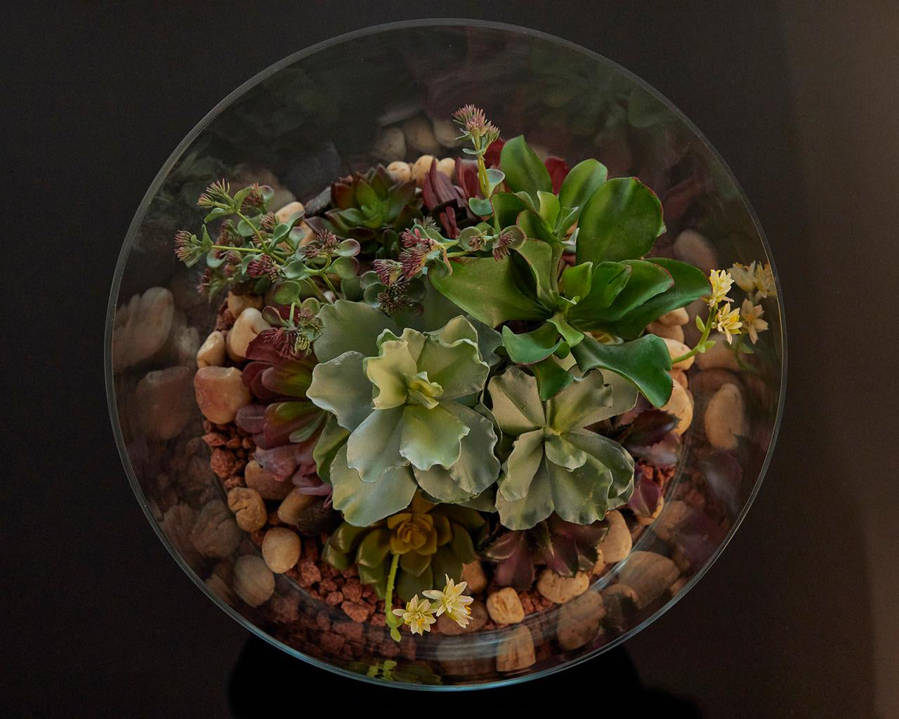 Pianta artificiale di Echeveria con fiore : Piante artificiali di qualit&agrave; - 231058