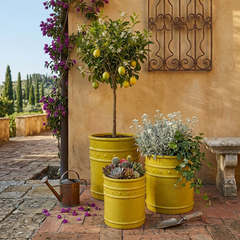 Vaso Cilindrico Glaze Atlas Capri EDG H50 D42 in Ceramica Gialla - Design Italiano