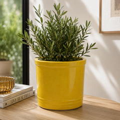 Vaso Glaze Cilindro H23 D24,5 Giallo EDG | Cachepot in Ceramica Smaltata