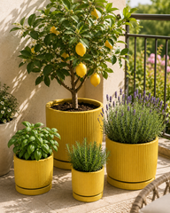 Vaso Glaze Righe Rotondo EDG in Terracotta Gialla H23 con Sottopiatto Integrato