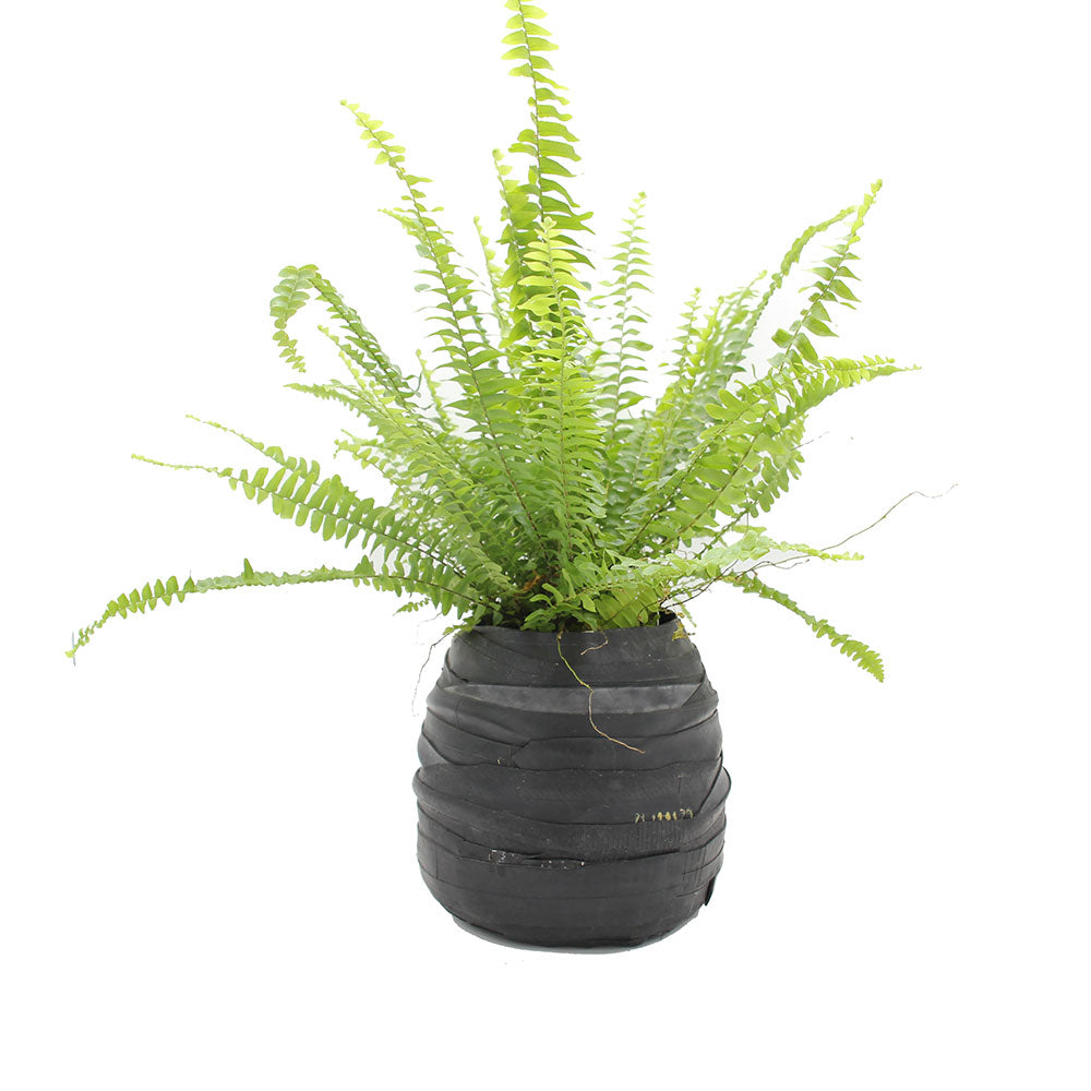 Vaso Porta Piante Rubber Alto Small | Vaso in Gomma Riciclata - B7211296-3