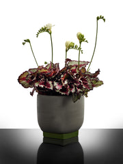 Vaso Design Rosamar 02 Grigio/Verde Kris Van Assche Serax - Gres e Cemento