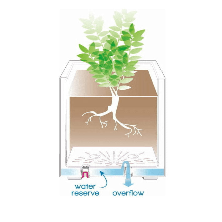 Vaso Millennium Cubo 25x25 | Vasi di design in plastica per esterno - CONFIG0354